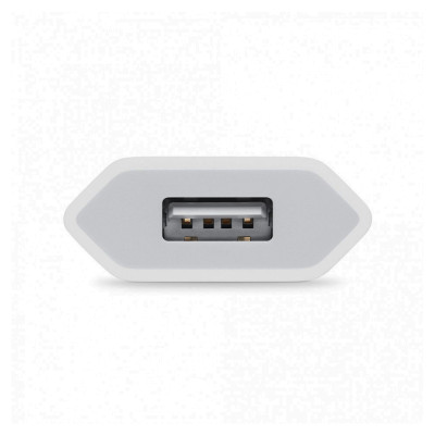 Сетевое зарядное устройство Apple iPhone 5W USB Power Adapter (MD813ZM/A)