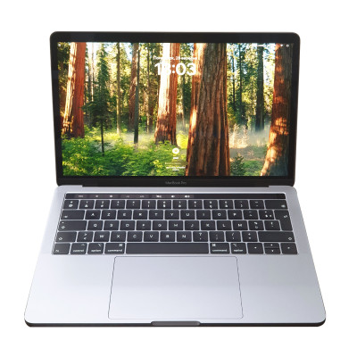 Б/У Ноутбук Apple A1989 ( Intel Core i5 ) C02Z68J9LVDC / 2560x1600 WQXGA / 8 ГБ / SSD 256 ГБ / Intel Iris Plus Graphics 655 / Класс А